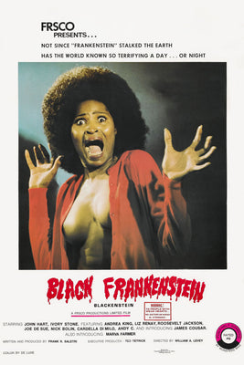 Blackenstein Movie Poster - 27"x40" The Poster Depot