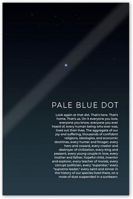 Pale Blue Dot Poster 27x40 27inx40in The Poster Depot