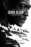 shark beach with anthony mackie Poster 11x17 