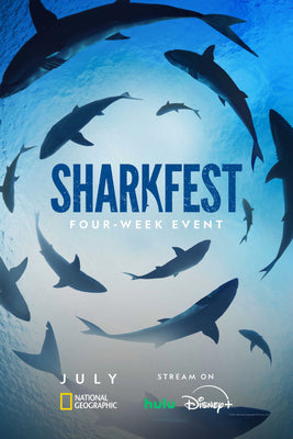 sharkfest Poster 11x17 