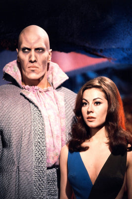 Star Trek Sherry Jackson Poster 27"x40" The Poster Depot