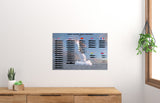 Submarines Movie Poster - 27"x40" The Poster Depot