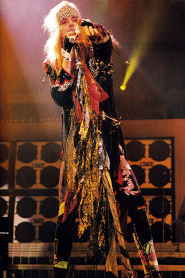 Brett Michaels 16x24 Poster The Poster Depot