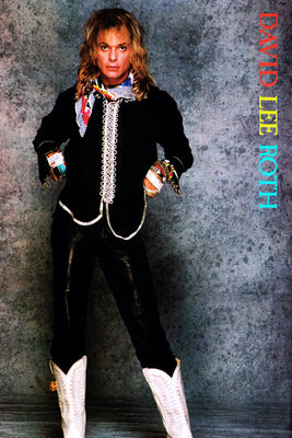David Lee Roth 16x24 Poster The Poster Depot