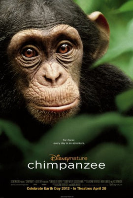Chimpanzee poster for sale cheap United States USA