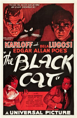 Black Cat The poster for sale cheap United States USA