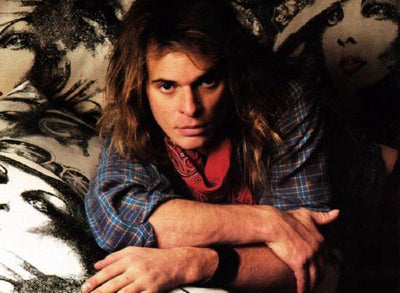 David Lee Roth Metal Poster Choose Style The Poster Depot