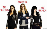 Lost Girl poster tin Metal Print Wall Art
