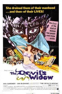 Devils Widow Metal Poster Choose Style The Poster Depot