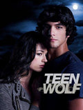 Teen Wolf Mtv Metal Poster Print 8in x 12in 12"x16" The Poster Depot