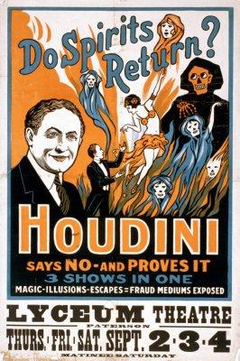 Houdini Metal Print 8in x 12in