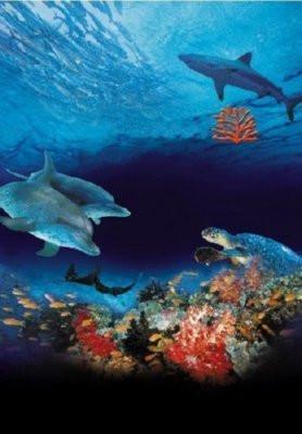 Ocean Wonderland poster tin Metal Print Wall Art