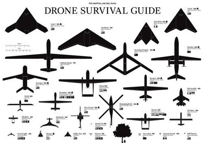 Drones Identification Chart Poster 24inx36in Poster The Poster Depot