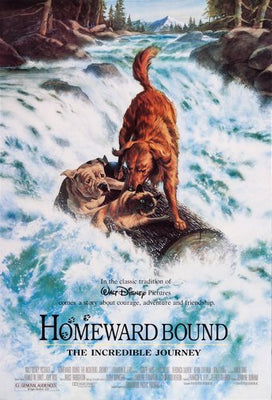 Homeward Bound poster 24inx36in Poster The Poster Depot