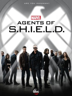 Agents Of Shield Poster 24in x 36in The Poster Depot