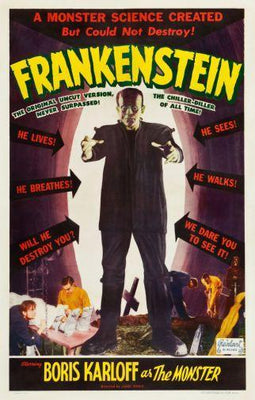 Frankenstein poster 16x24 The Poster Depot