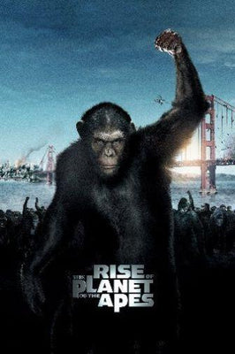 Rise Of The Apes Poster 16x24 The Poster Depot