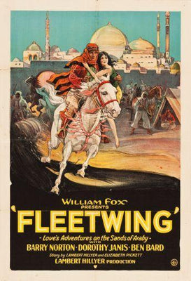 Fleetwing poster 16x24