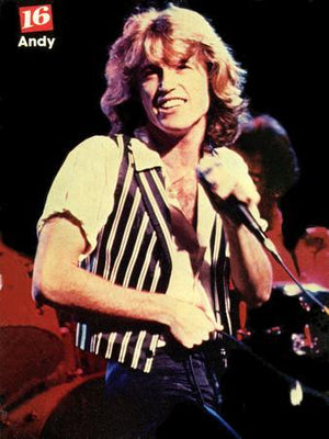 Andy Gibb Poster Vintage 80s image 27"x40" The Poster Depot