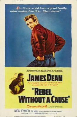 Rebel Without A Cause poster 16x24 The Poster Depot