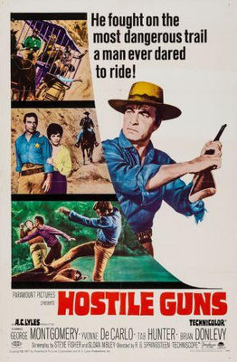 Hostile Guns poster 27inx40in Poster The Poster Depot