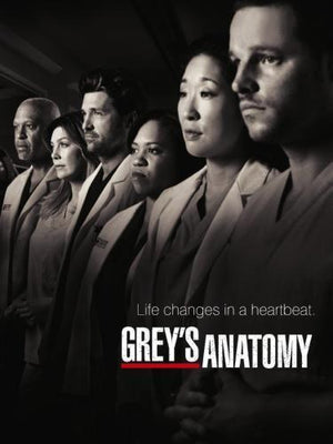 Greys Anatomy Poster 16in x 24in