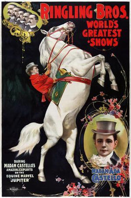 Ringling Circus Metal Print 8in x 12in The Poster Depot