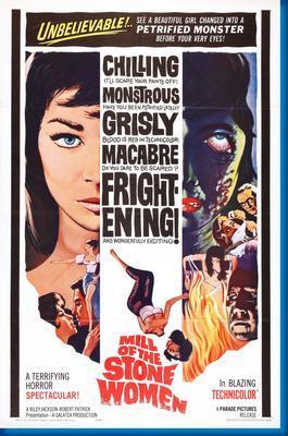 Mill Of The Stone Women poster