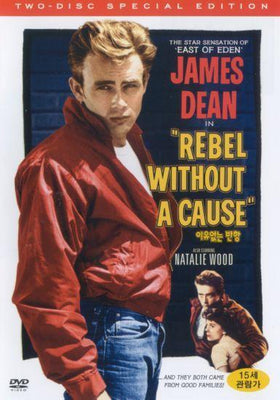 Rebel Without A Cause poster 16"x24" 