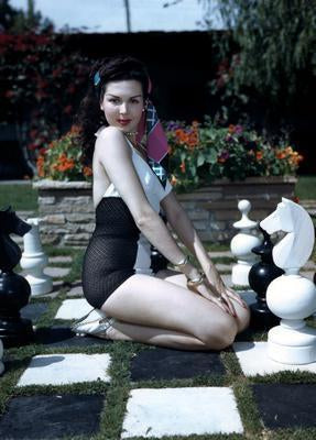 Ann Miller Chessboard Metal Print 8in x 12in