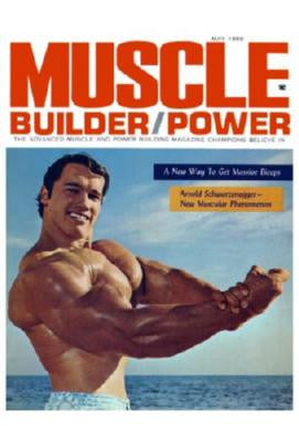 Arnold Schwarzenegger Poster 24inx36in The Poster Depot