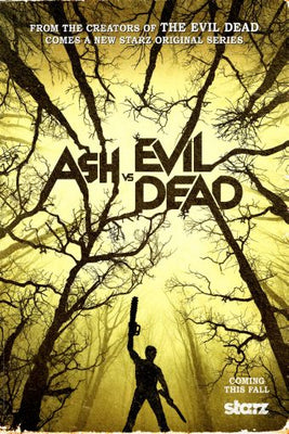 Ash Vs Evil Dead  tin Metal Print Poster| theposterdepoz.shop