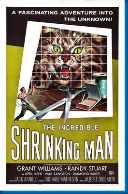 Incredible Shrinking Man The Poster On Sale United States