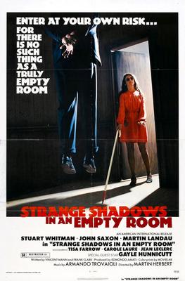 Strange Shadows In An Empty Room poster 24x36 The Poster Depot