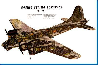 B17G Cutaway Military Aircraft Metal Poster Print 8in x 12in 12"x16" The Poster Depot