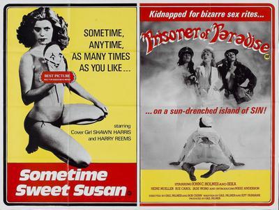 Sometime Sweet Susan Metal Movie Poster 8in x 12in