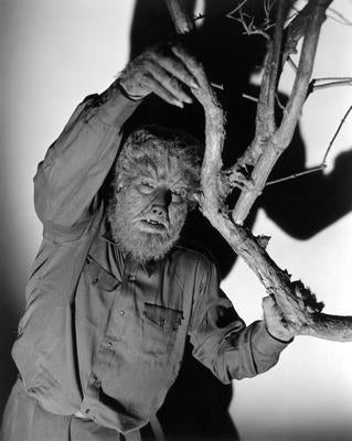 Wolfman The Metal Movie Poster 8in x 12in