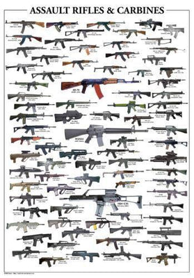 Assault Rifles Poster 16x24 The Poster Depot