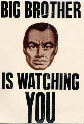 Big Brother Is Watching You Poster On Sale United States