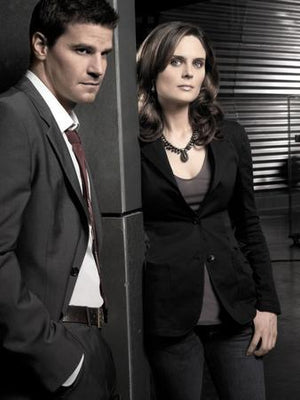 Bones Boreanaz Deschanel Office Metal Print 8in x 12in The Poster Depot