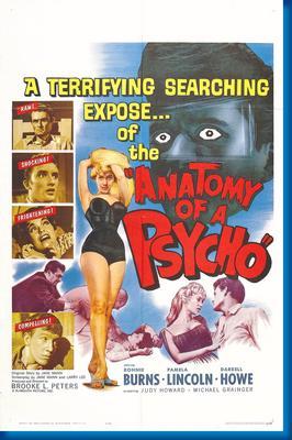 Anatomy Of A Psycho poster 27"x40" The Poster Depot