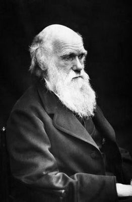 Charles Darwin poster for sale cheap United States USA