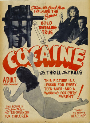 Cocaine The Thrill That Kills Vintage Art Movie Metal Print 8inx12in The Poster Depot