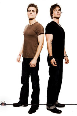 Stefan Vs Damon Poster 24x36 24inx36in The Poster Depot