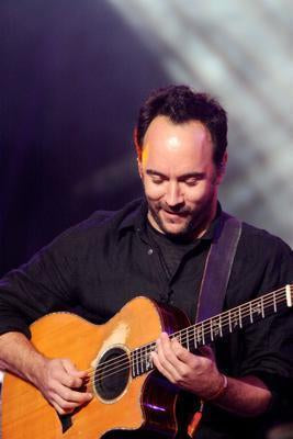 Dave Matthews Guitar Poster 16x24 - Fame Collectibles
