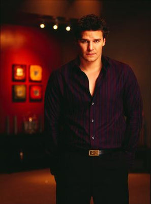 David Boreanaz Poster Angel Wolfram And Hart 11x17 The Poster Depot