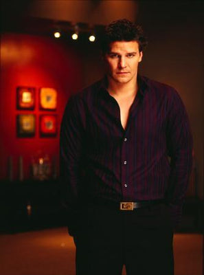 David Boreanaz Poster Angel Wolfram And Hart 27inx40in The Poster Depot