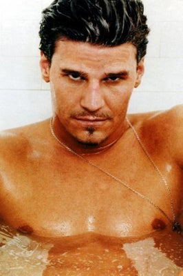 David Boreanaz Metal Print 8in x 12in
