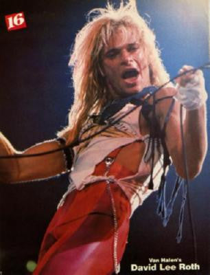 David Lee Roth Poster 24inx36in The Poster Depot