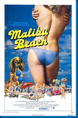 Malibu Beach poster for sale cheap United States USA